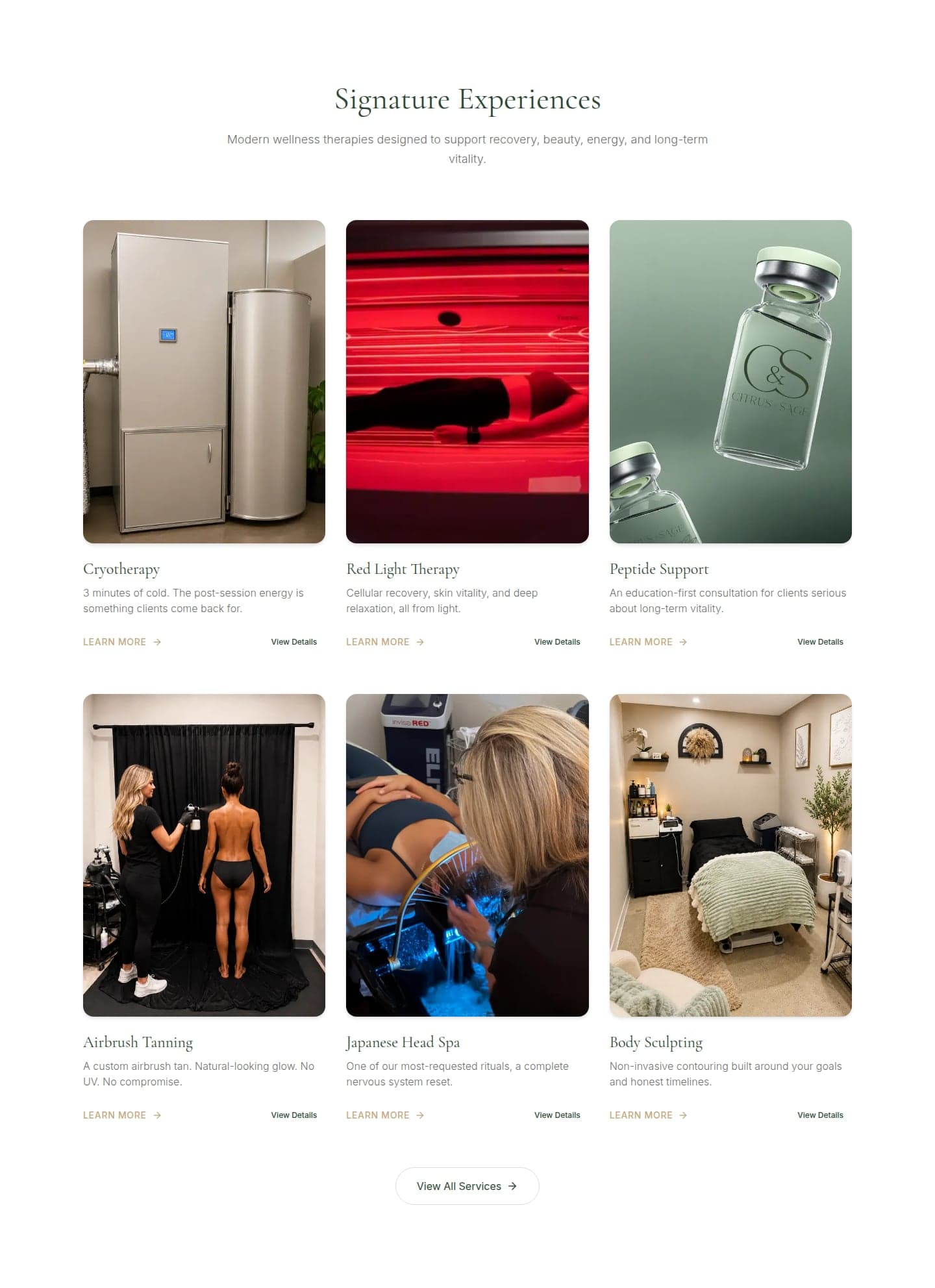 Citrus & Sage “Signature Experiences” service grid — cryotherapy, red light therapy, peptide support, airbrush tanning, Japanese head spa, and body sculpting